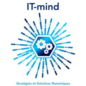 Logo IT-mind