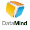 Logo DataMind